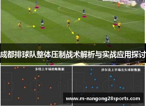 成都排球队整体压制战术解析与实战应用探讨