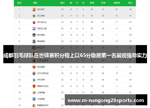成都羽毛球队在世锦赛积分榜上以65分稳居第一名展现强劲实力