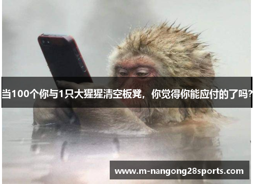 当100个你与1只大猩猩清空板凳，你觉得你能应付的了吗？