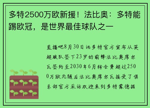 多特2500万欧新援！法比奥：多特能踢欧冠，是世界最佳球队之一